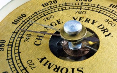 My Research Triangle Small Business Health Quiz (Part 1)